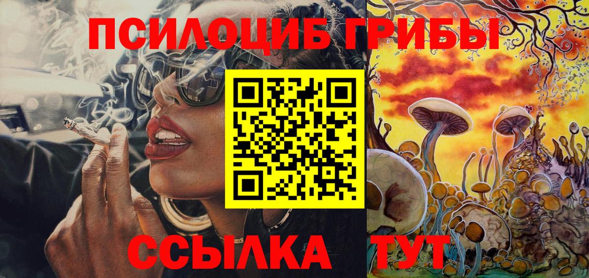 Чебоксары  Псилоцибиновые грибы мицелий  Вход с VPN 